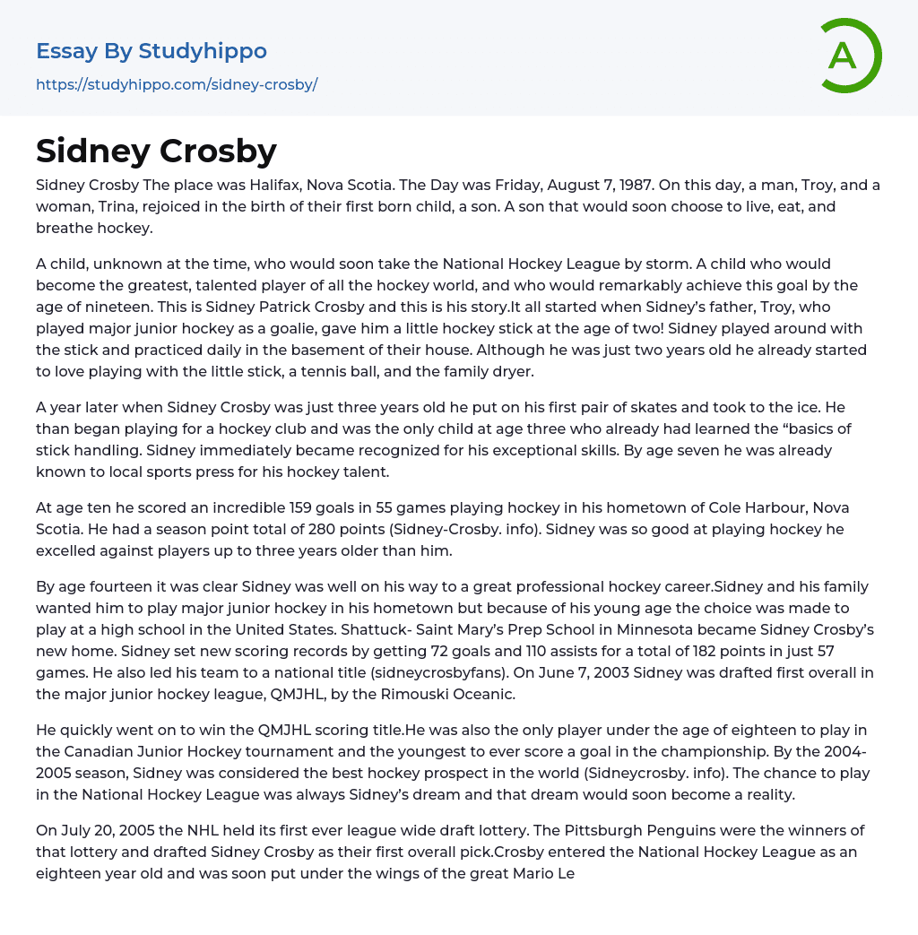 Sidney Crosby Essay Example