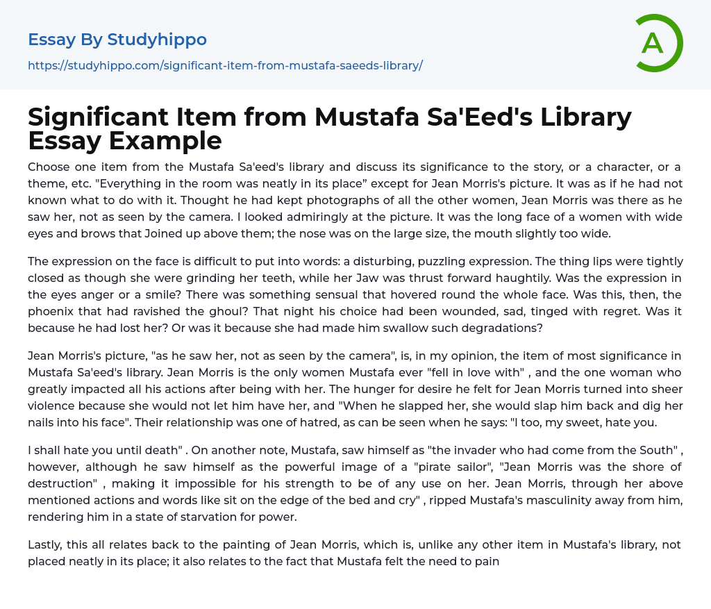 Significant Item from Mustafa Sa’Eed’s Library Essay Example