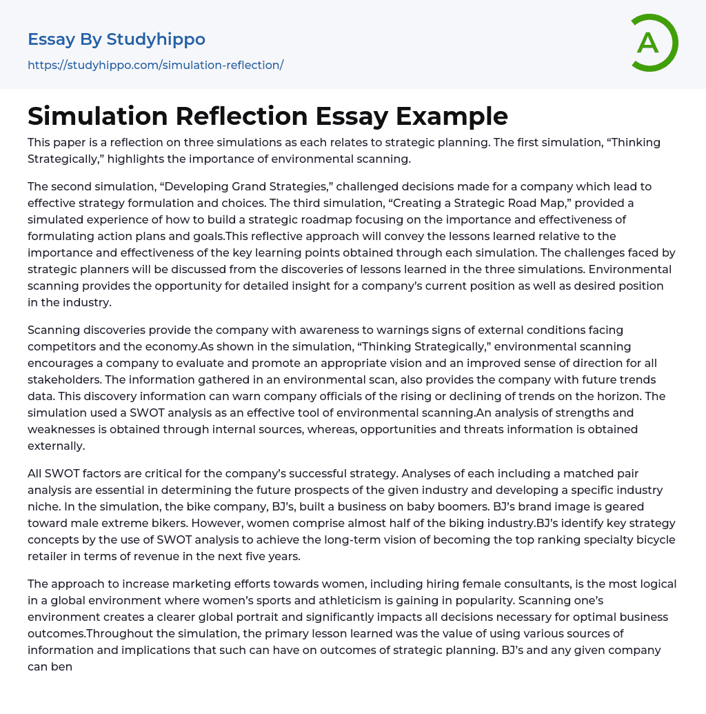 Simulation Reflection Essay Example