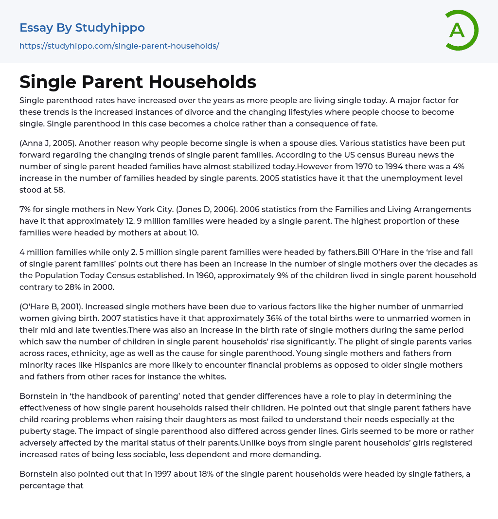 Single Parent Households Essay Example