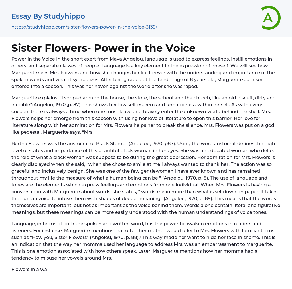 Sister Flowers- Power in the Voice Essay Example