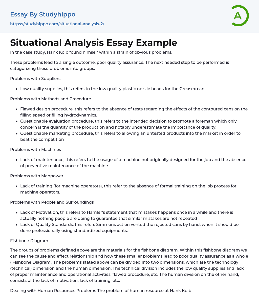 Situational Analysis Essay Example