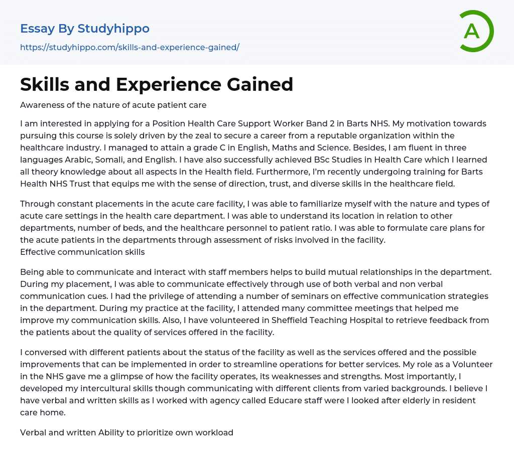 Skills and Experience Gained Essay Example