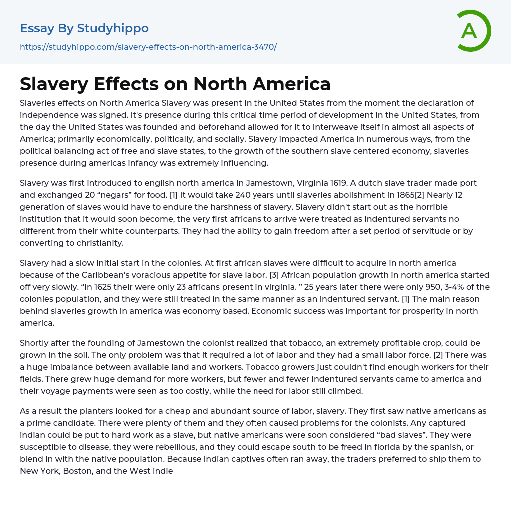 Slavery Effects on North America Essay Example