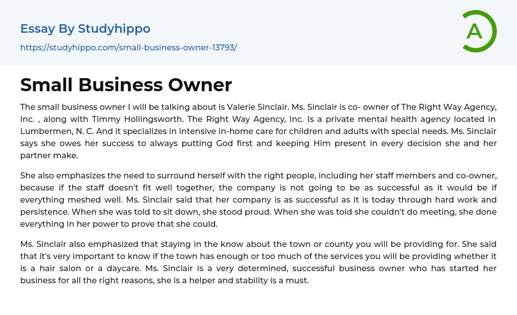 Small Business Owner Essay Example