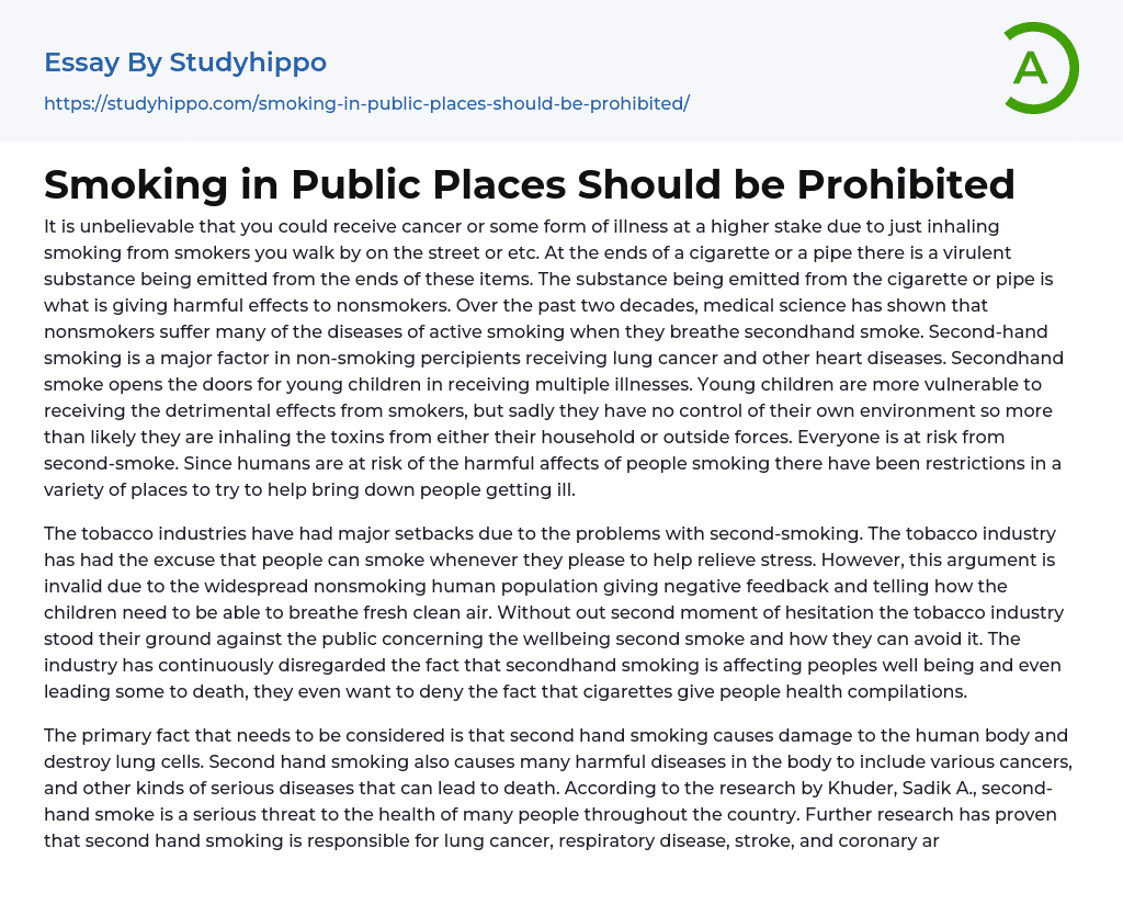 Smoking in Public Places Should be Prohibited Essay Example