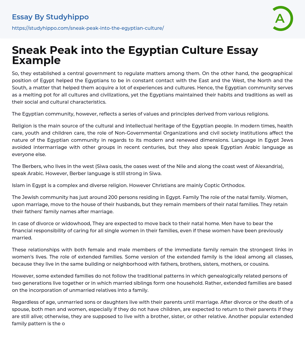Sneak Peak into the Egyptian Culture Essay Example