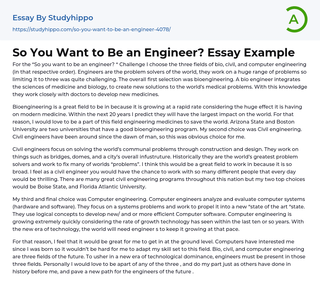 So You Want to Be an Engineer? Essay Example