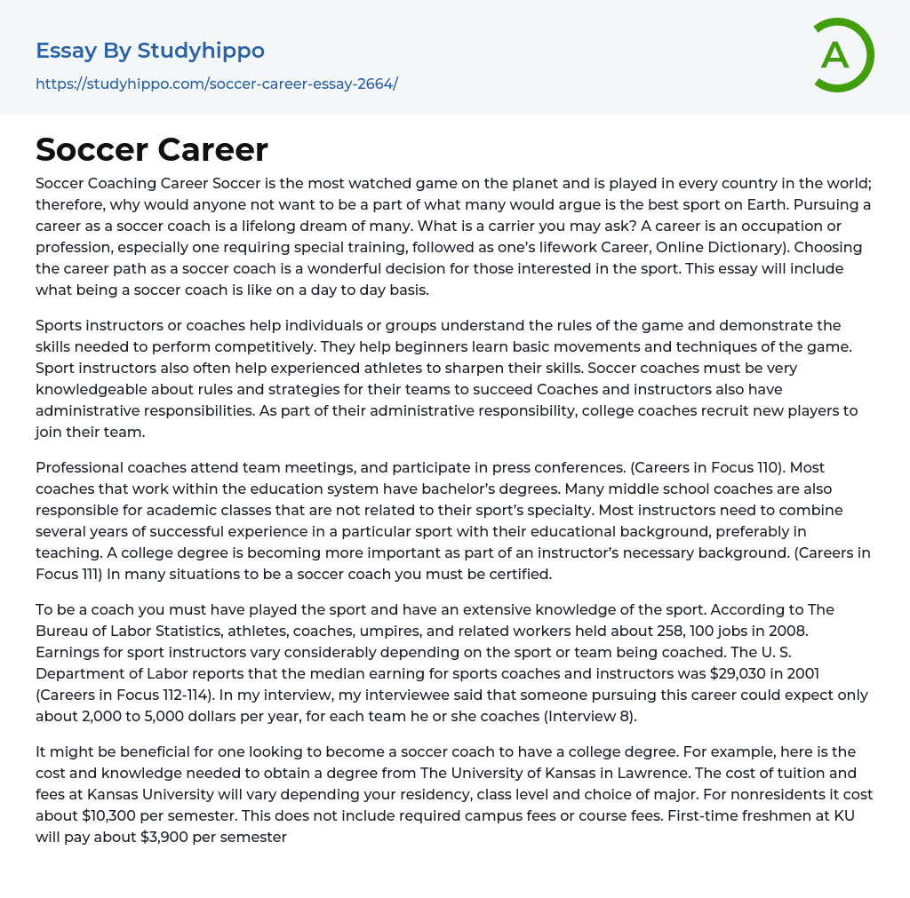 Soccer Career Essay Example