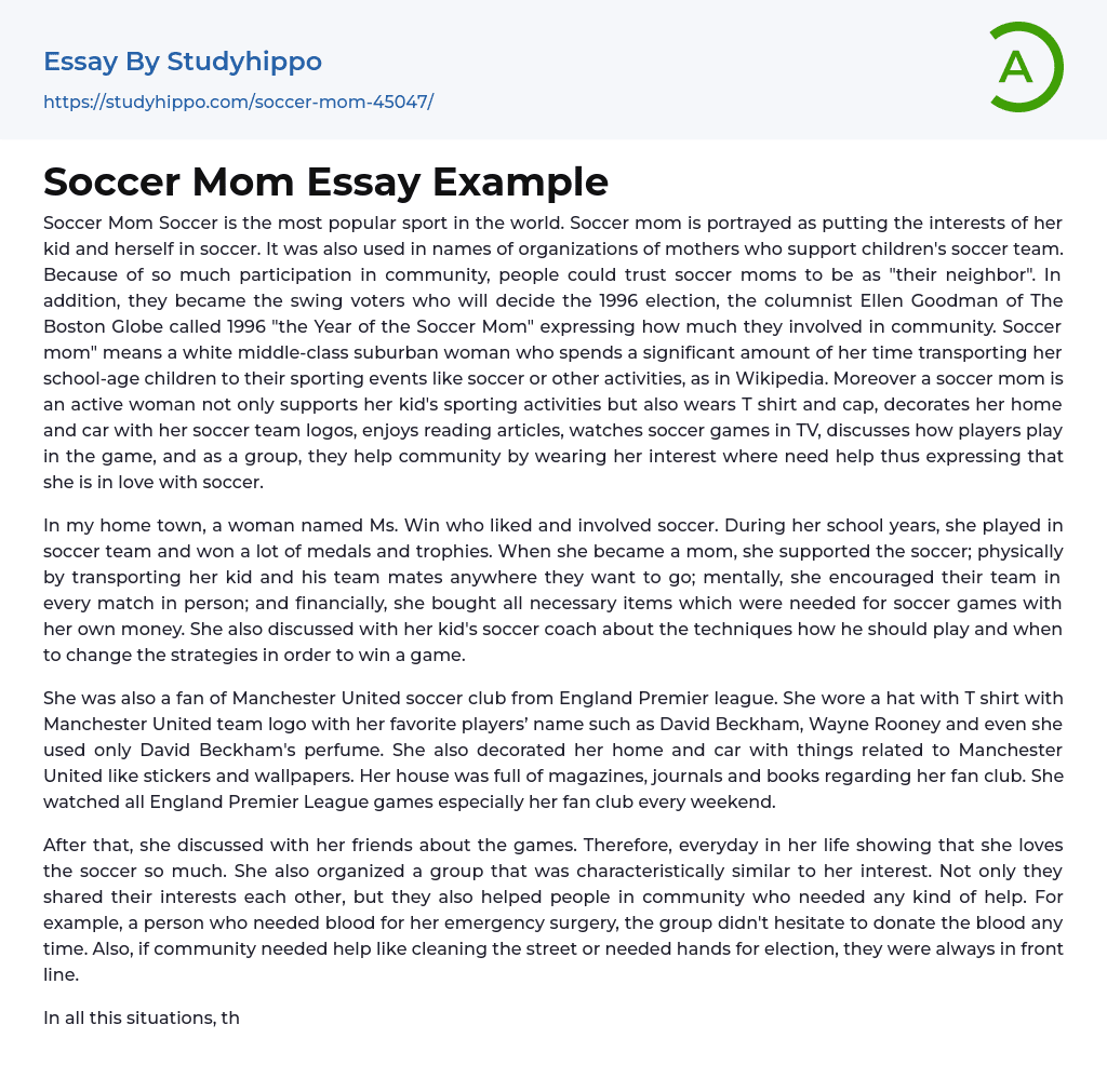 Soccer Mom Essay Example