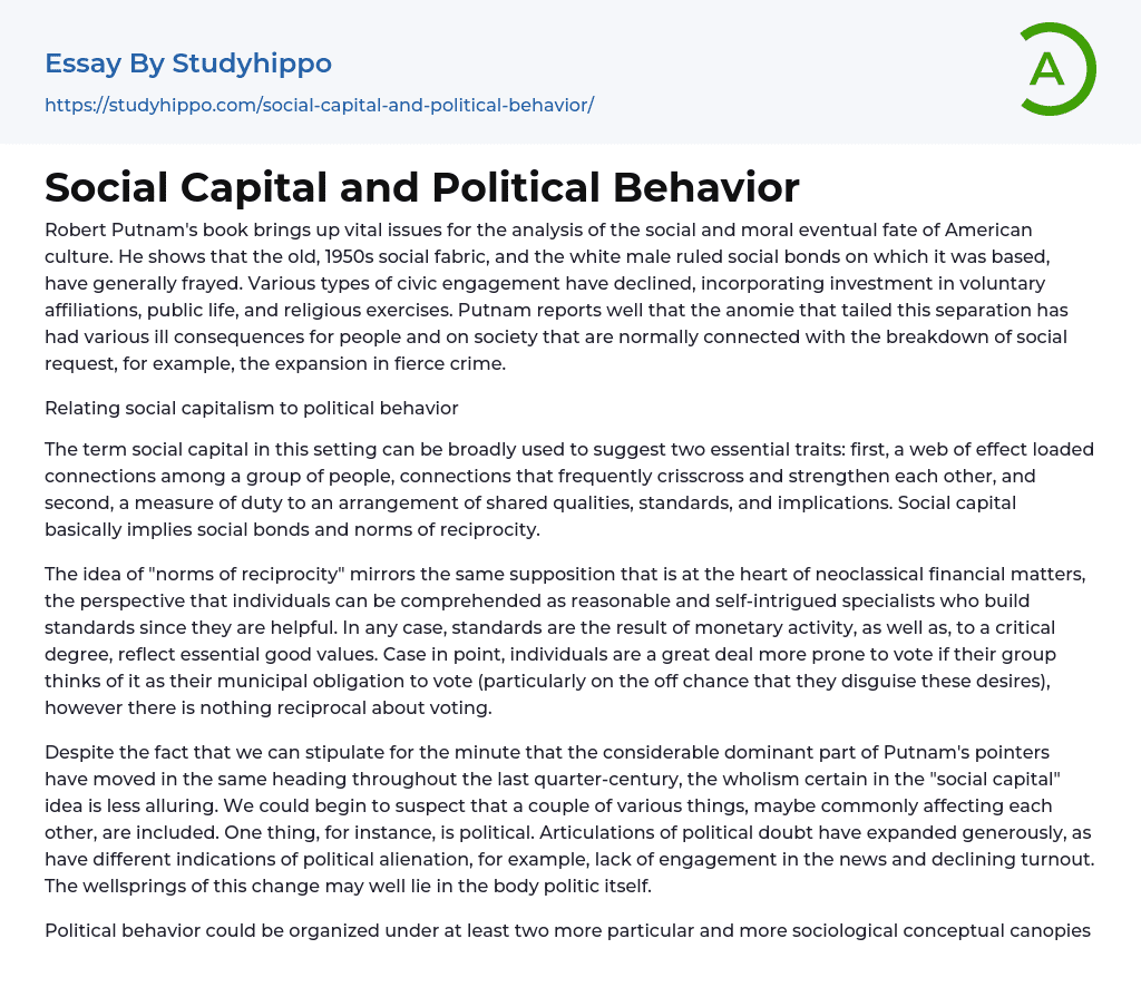 Social Capital and Political Behavior Essay Example