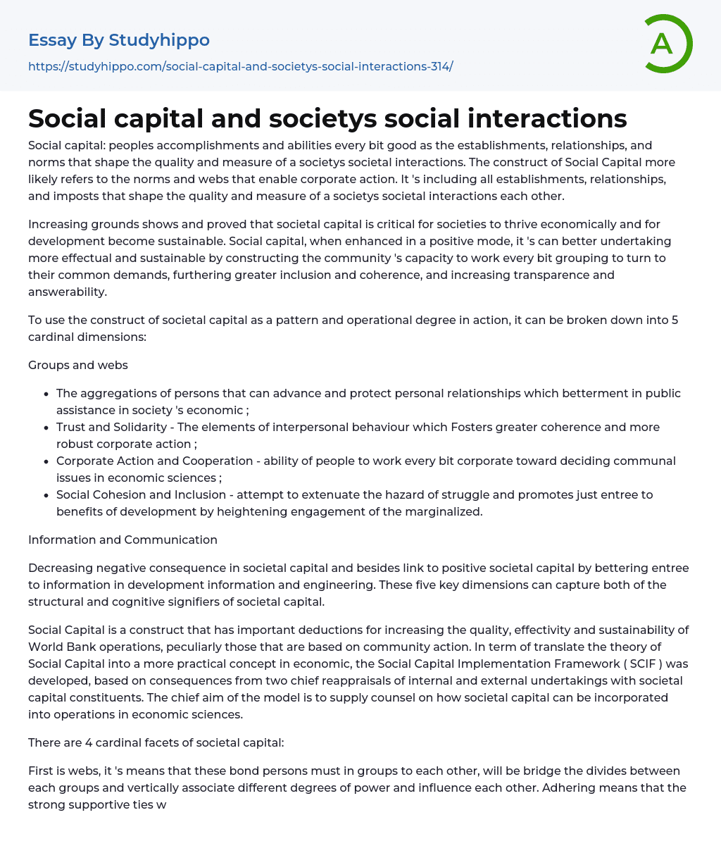 Social capital and societys social interactions Essay Example