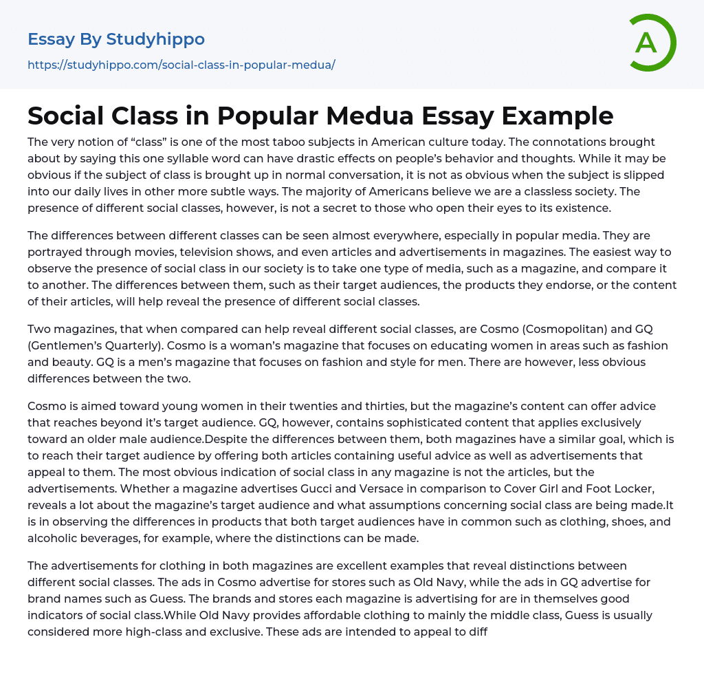 Social Class in Popular Medua Essay Example