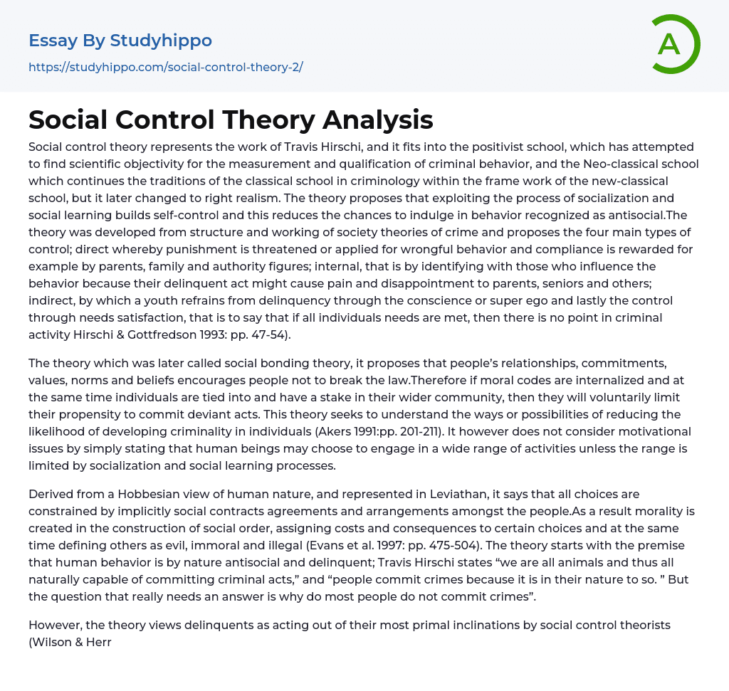 Social Control Theory Analysis Essay Example