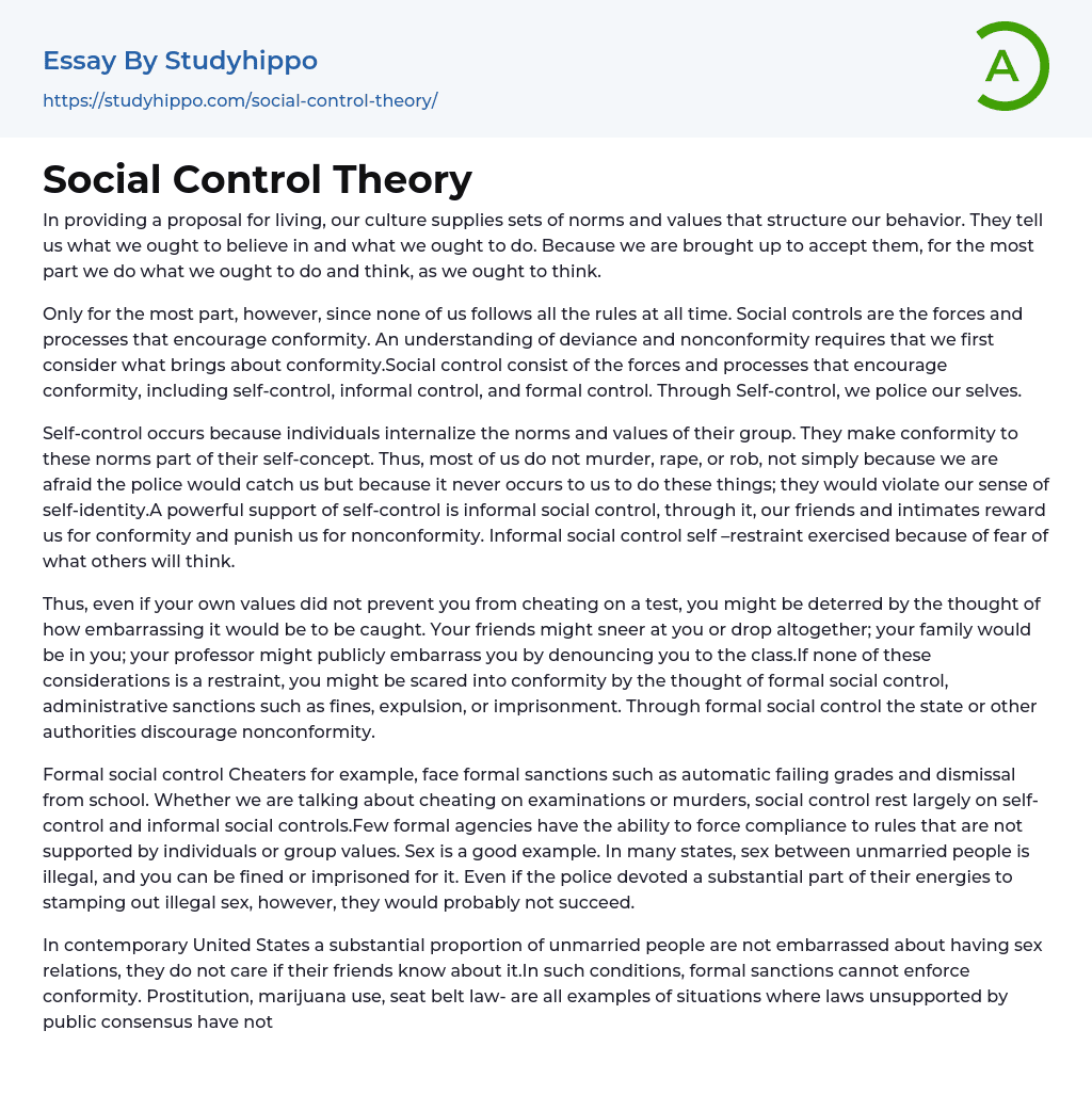 Social Control Theory Essay Example
