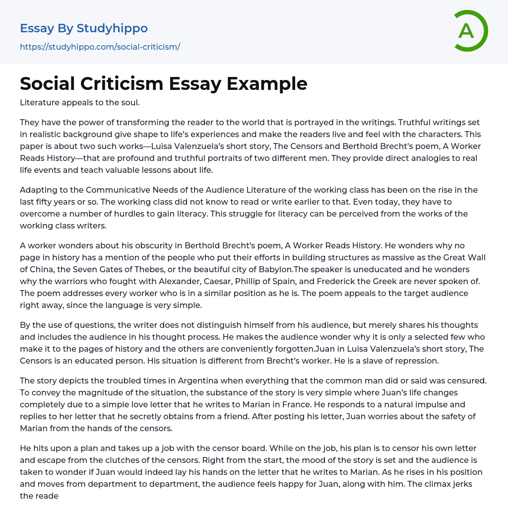 Social Criticism Essay Example