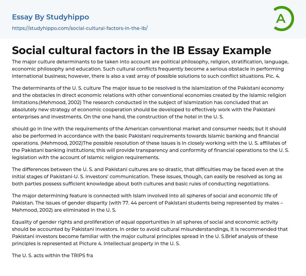 Social cultural factors in the IB Essay Example