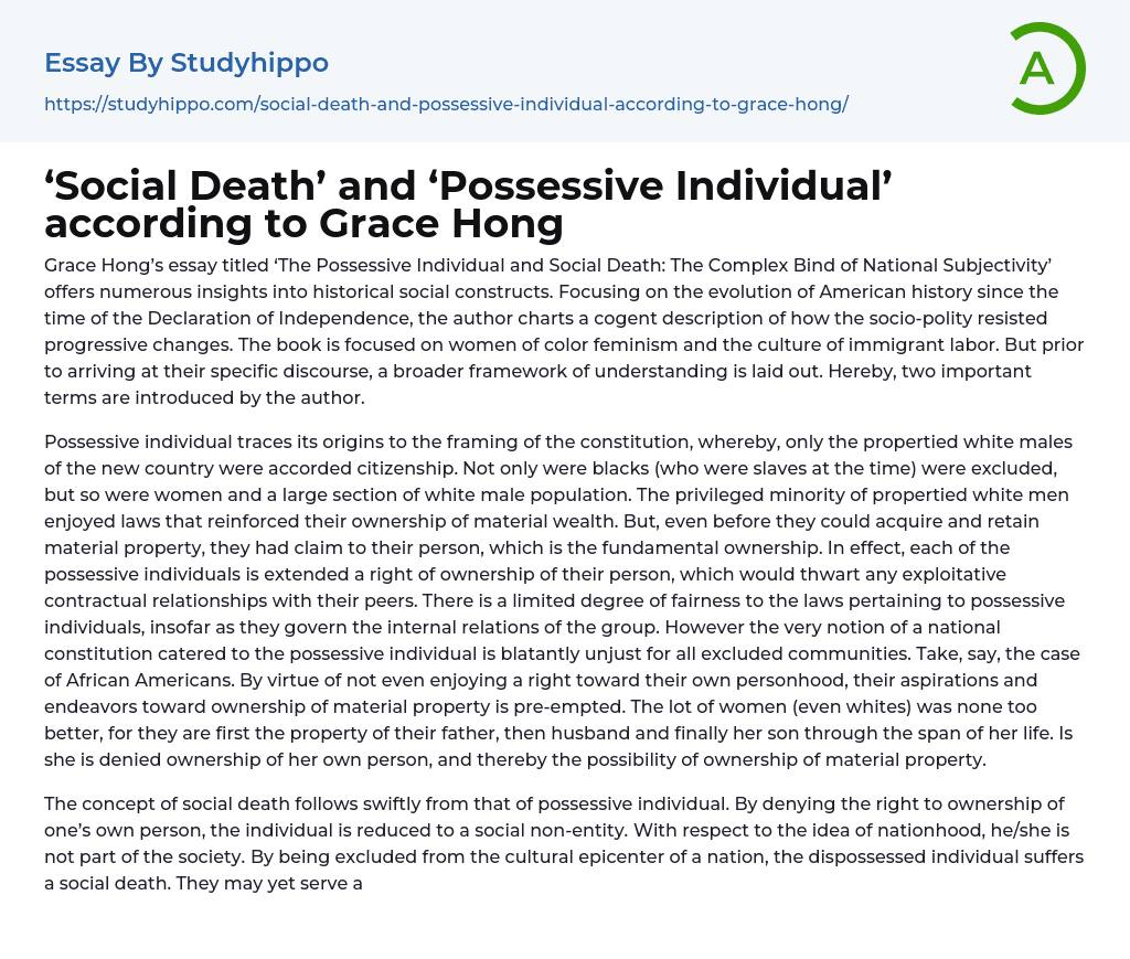 ‘Social Death’ and ‘Possessive Individual’ according to Grace Hong Essay Example