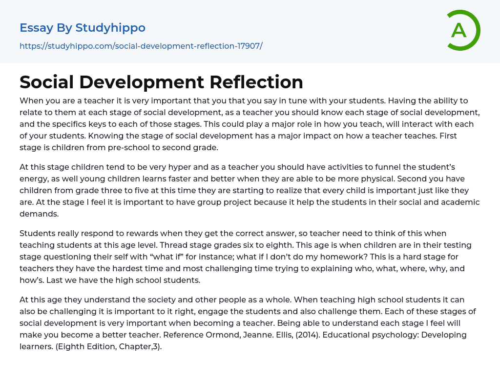 Social Development Reflection Essay Example