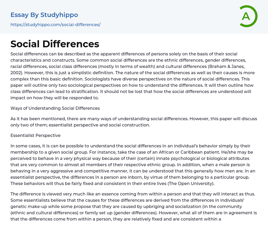 Social Differences Essay Example