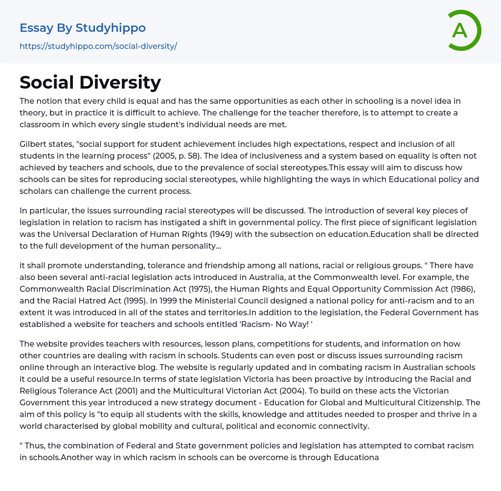 Social Diversity Essay Example