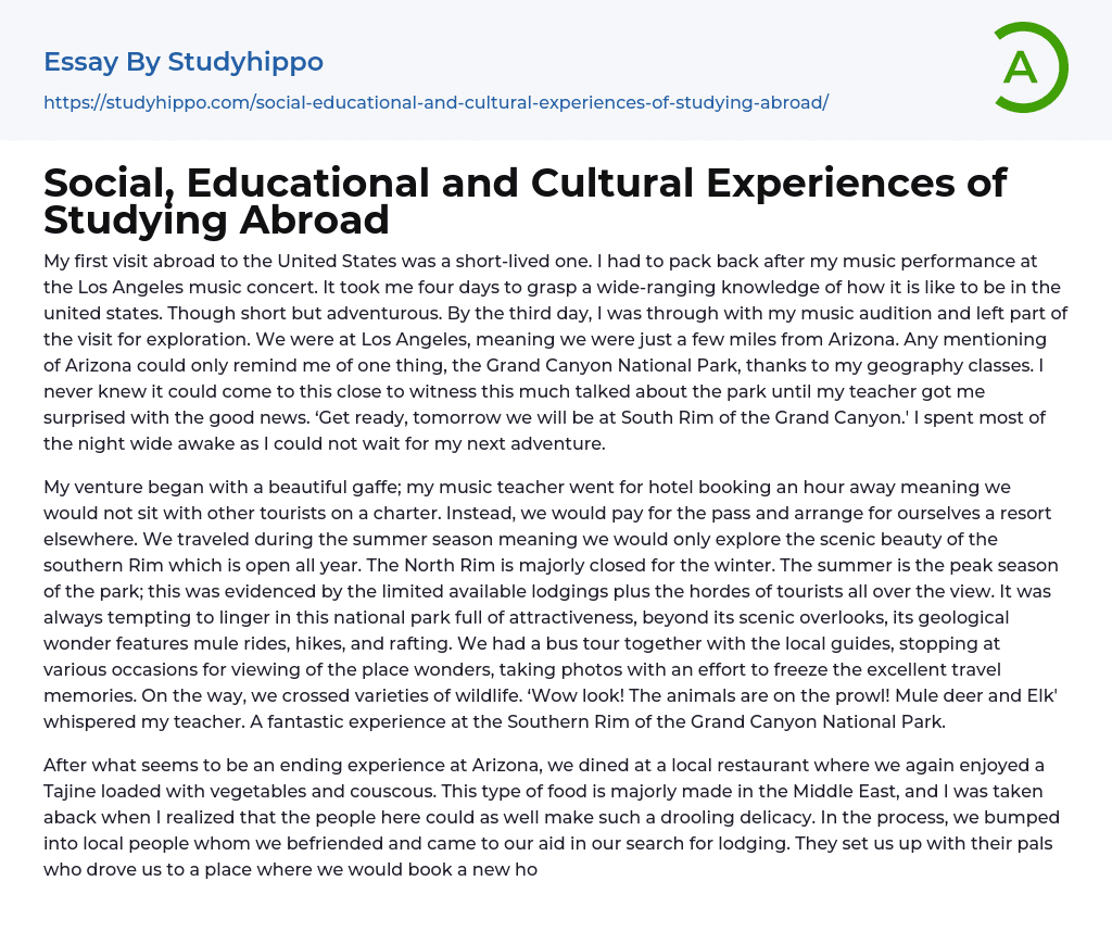 Social, Educational and Cultural Experiences of Studying Abroad Essay Example