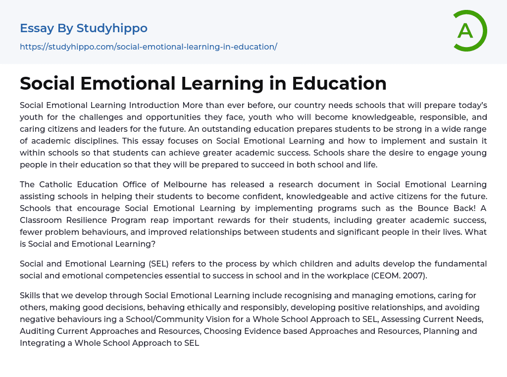 Social Emotional Learning in Education Essay Example