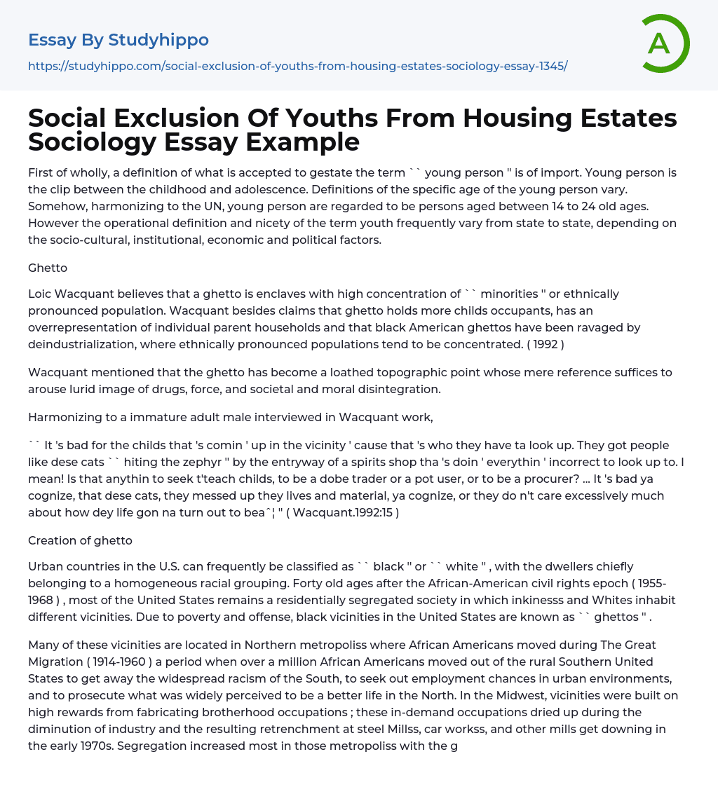 Social Exclusion Of Youths From Housing Estates Sociology Essay Example