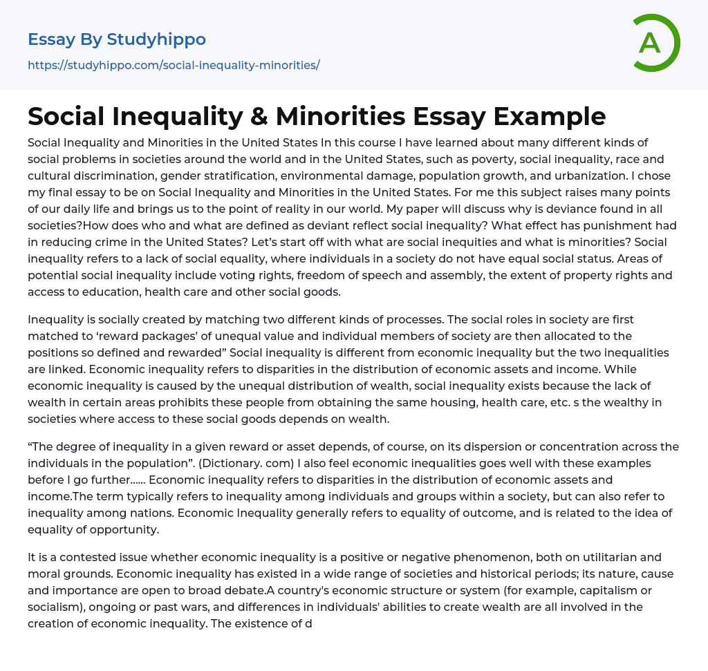 Social Inequality & Minorities Essay Example
