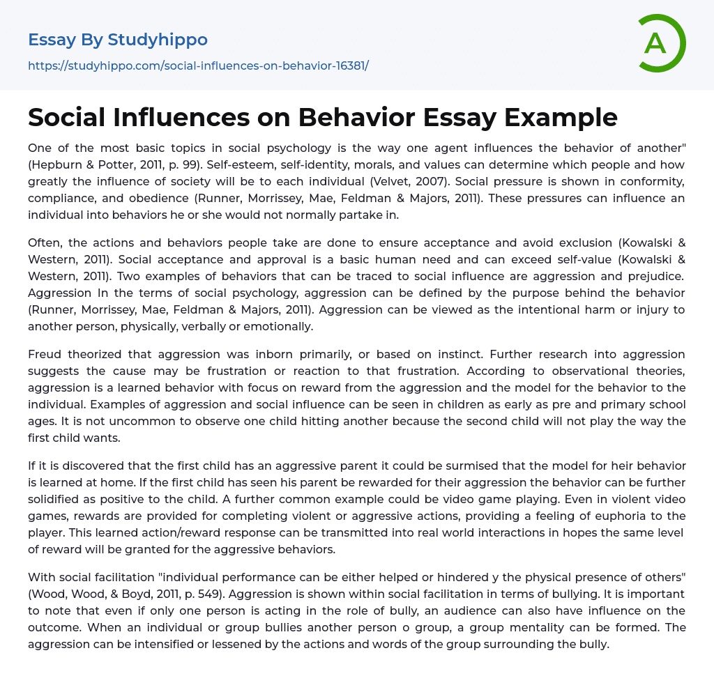 Social Influences on Behavior Essay Example