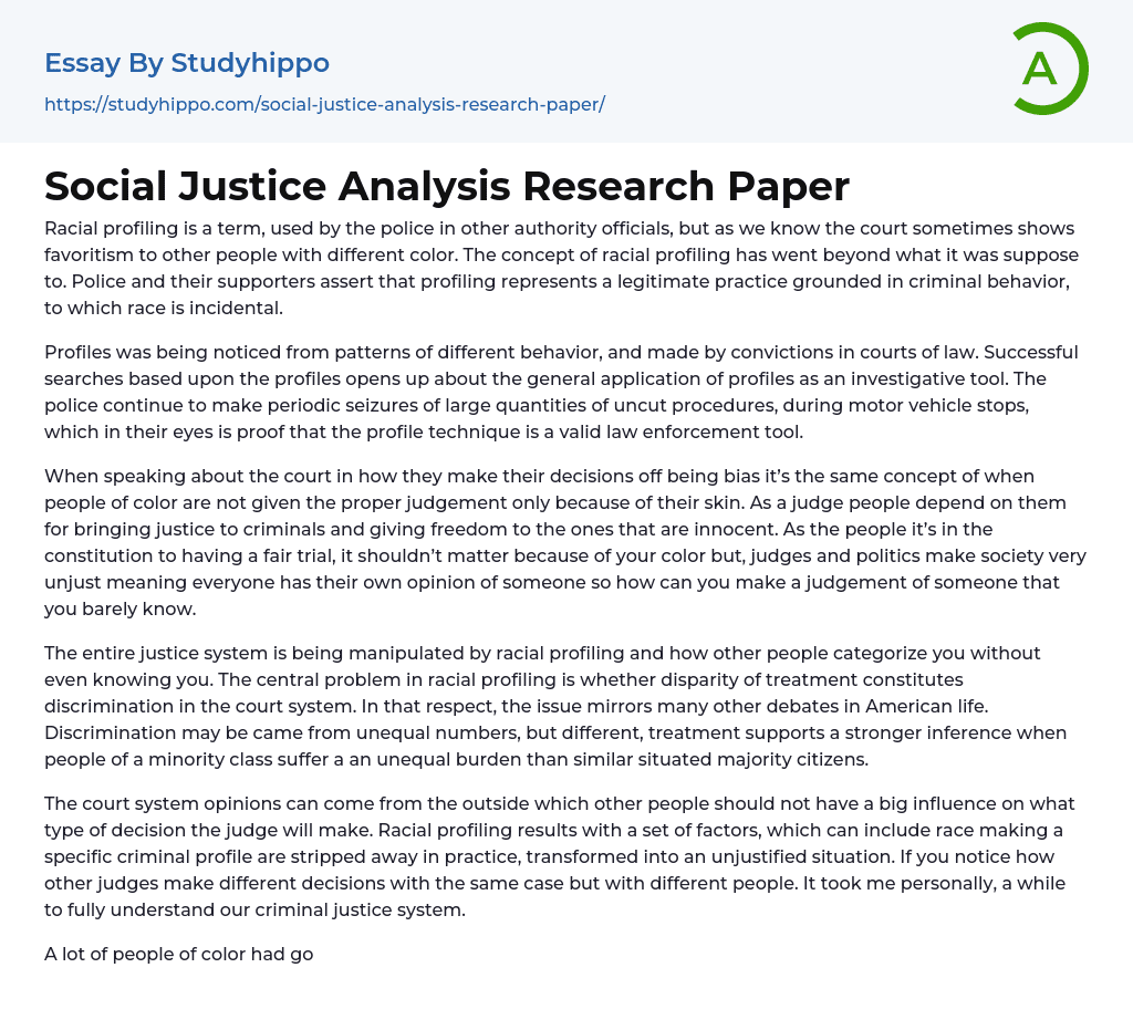 Social Justice Analysis Research Paper Essay Example