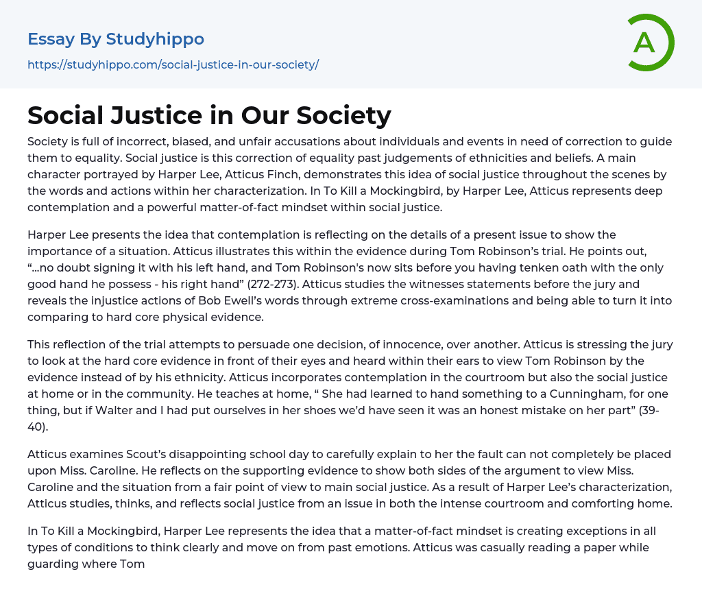 Social Justice in Our Society Essay Example