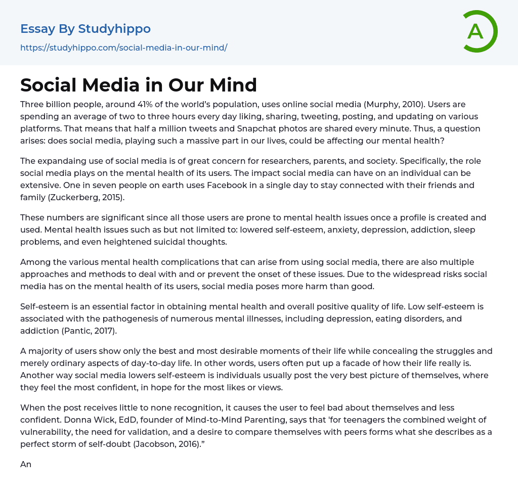 Social Media in Our Mind Essay Example