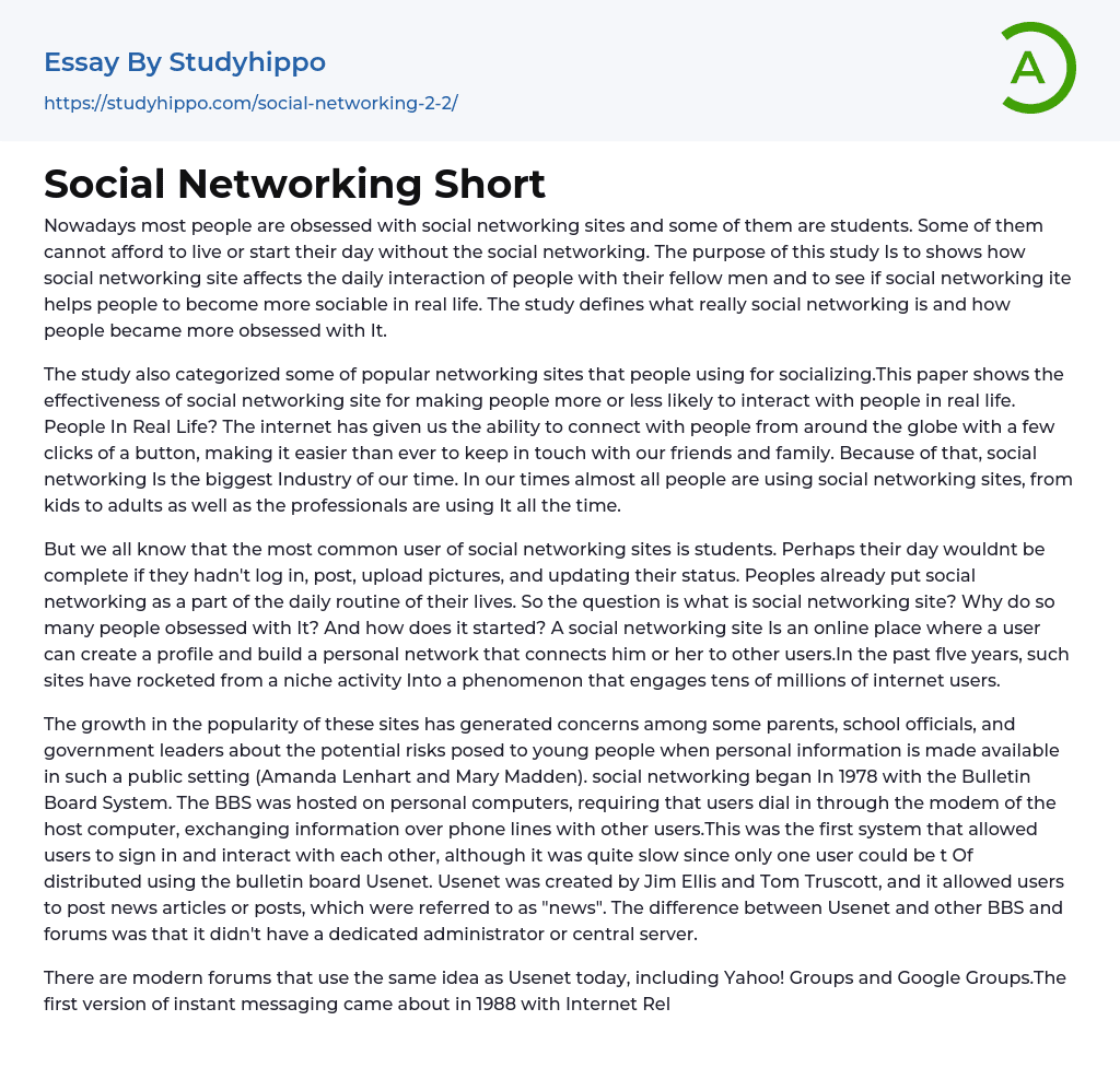 Social Networking Short Essay Example