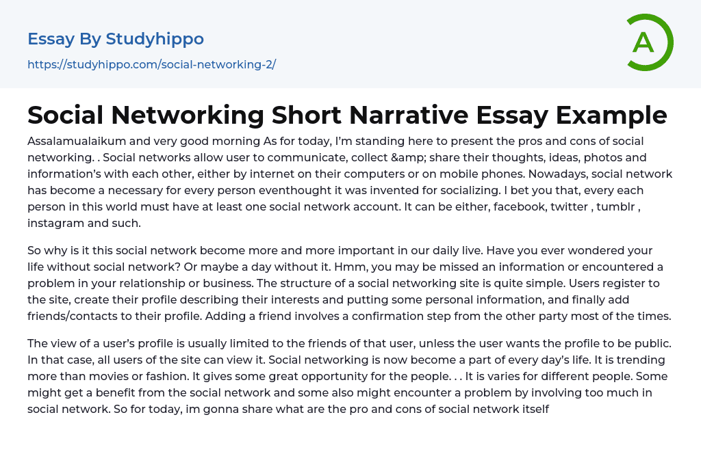 Social Networking Short Narrative Essay Example