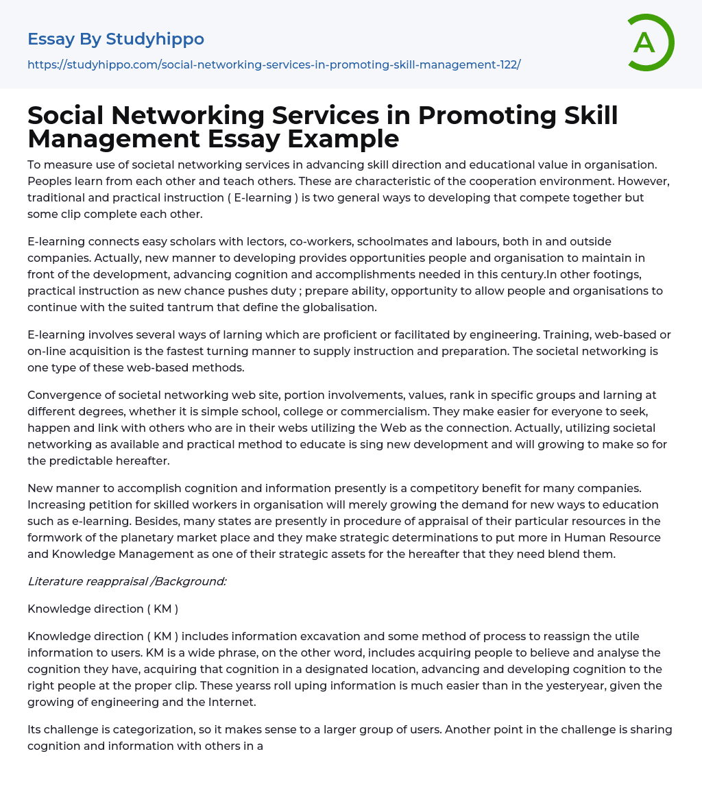 Social Networking Services in Promoting Skill Management Essay Example