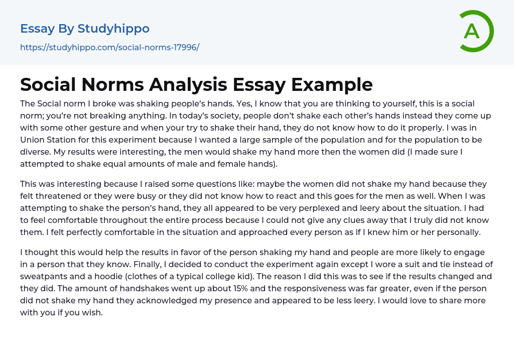 Social Norms Analysis Essay Example