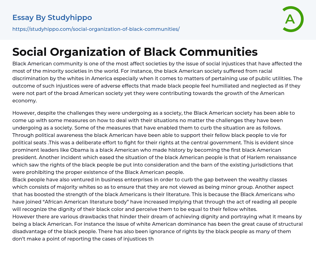 Social Organization of Black Communities Essay Example