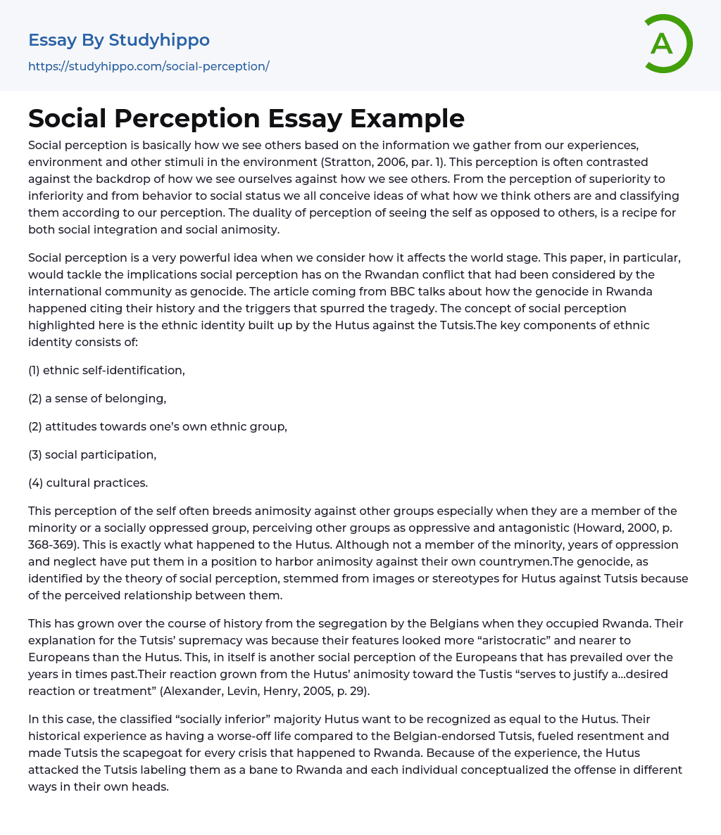 Social Perception Essay Example