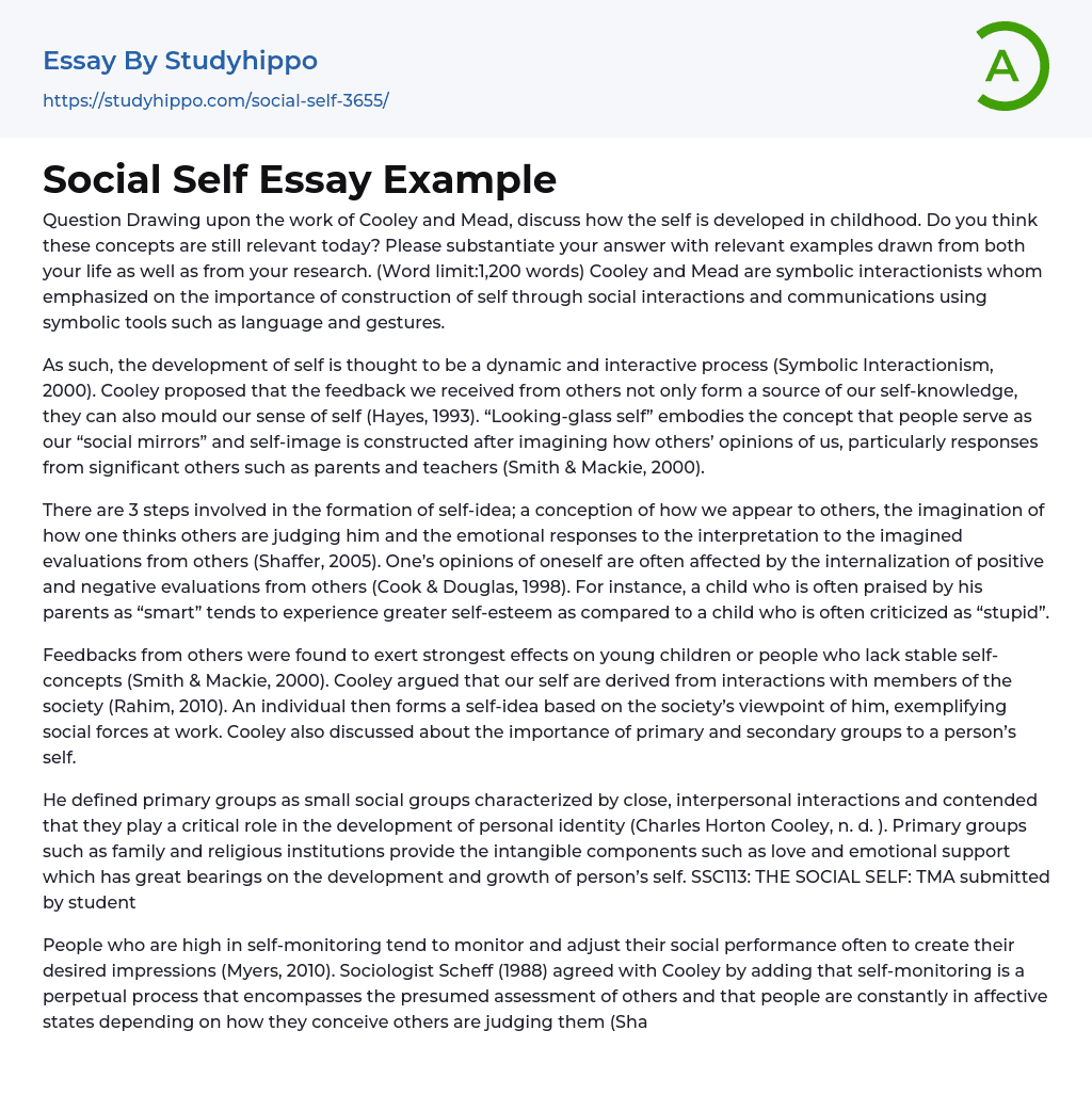 my social self essay brainly