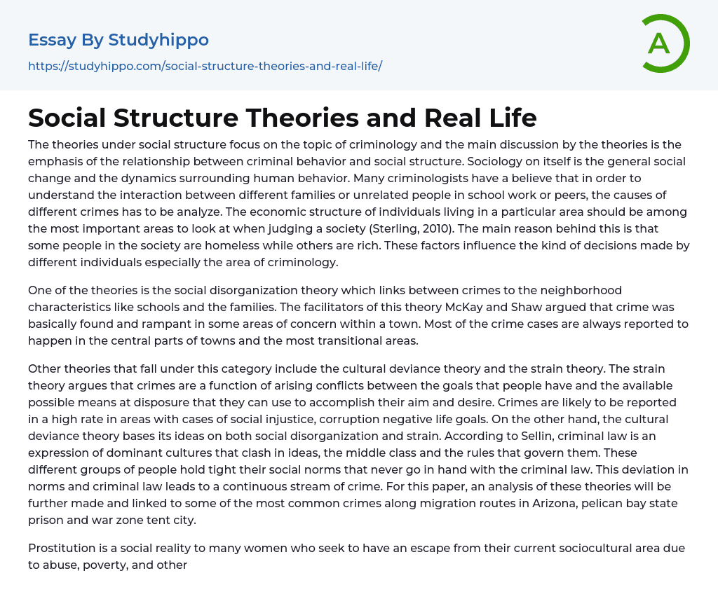Social Structure Theories and Real Life Essay Example