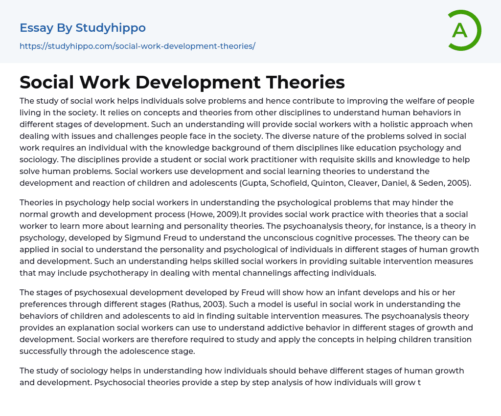 Social Work Development Theories Essay Example