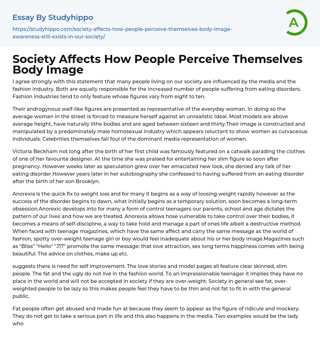 Society Affects How People Perceive Themselves Body Image Essay Example
