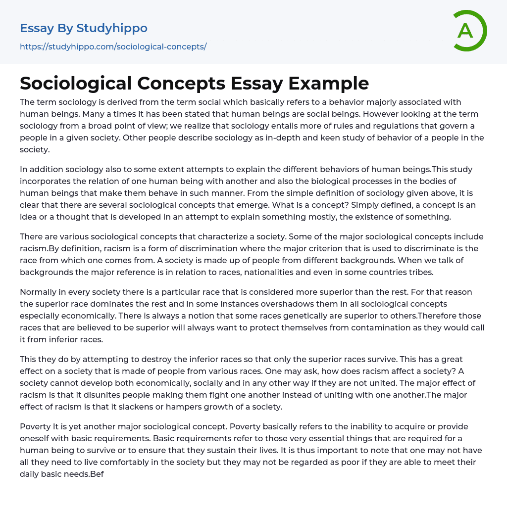 Sociological Concepts Essay Example