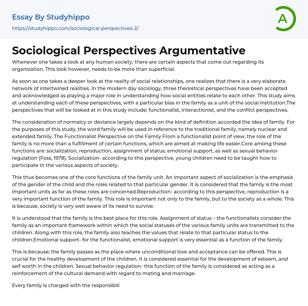 Sociological Perspectives Argumentative Essay Example