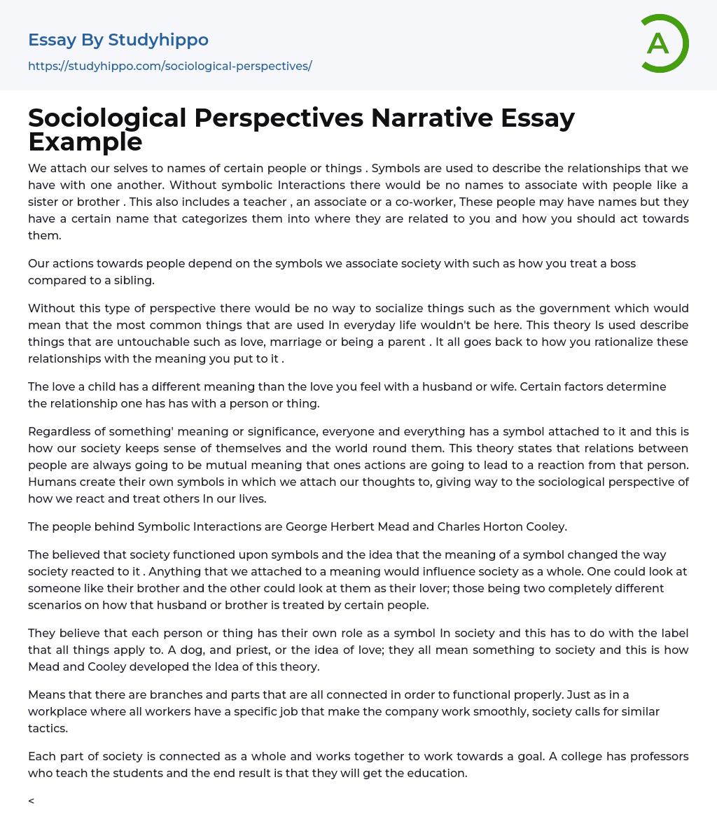 Sociological Perspectives Narrative Essay Example