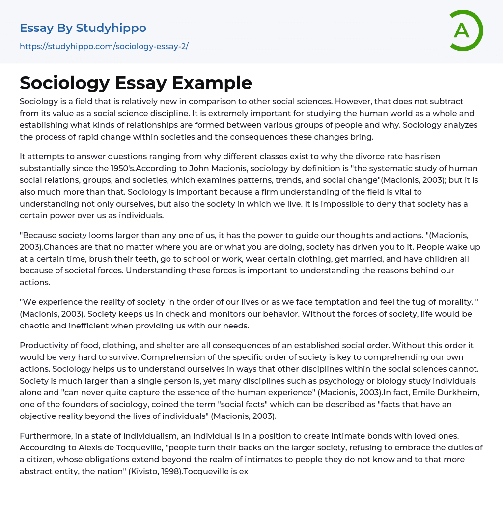 Sociology Essay Example