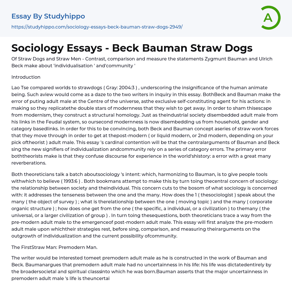 Sociology Essays – Beck Bauman Straw Dogs
