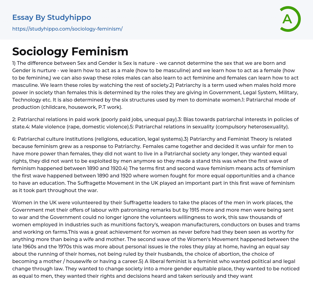 sociology feminism essay