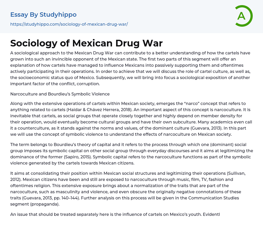 Sociology of Mexican Drug War Essay Example